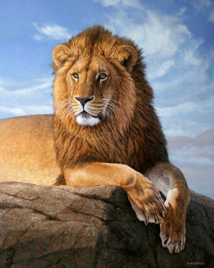 Imagenes Abstractas De Leones | pinturas cuadros lienzos galer 237 a pinturas al 243 leo de leones Imagenes Abstractas De Leones | pinturas cuadros lienzos galer 237 a pinturas al 243 leo de leones