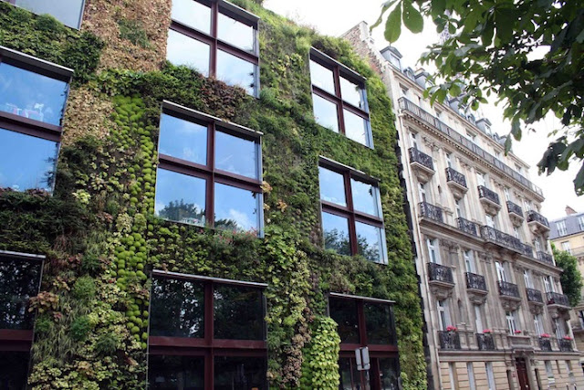 Catherine Green - Parisian architecture