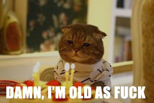 this-cat-is-old-s-fuck-birthday-cake-lolcat.jpeg