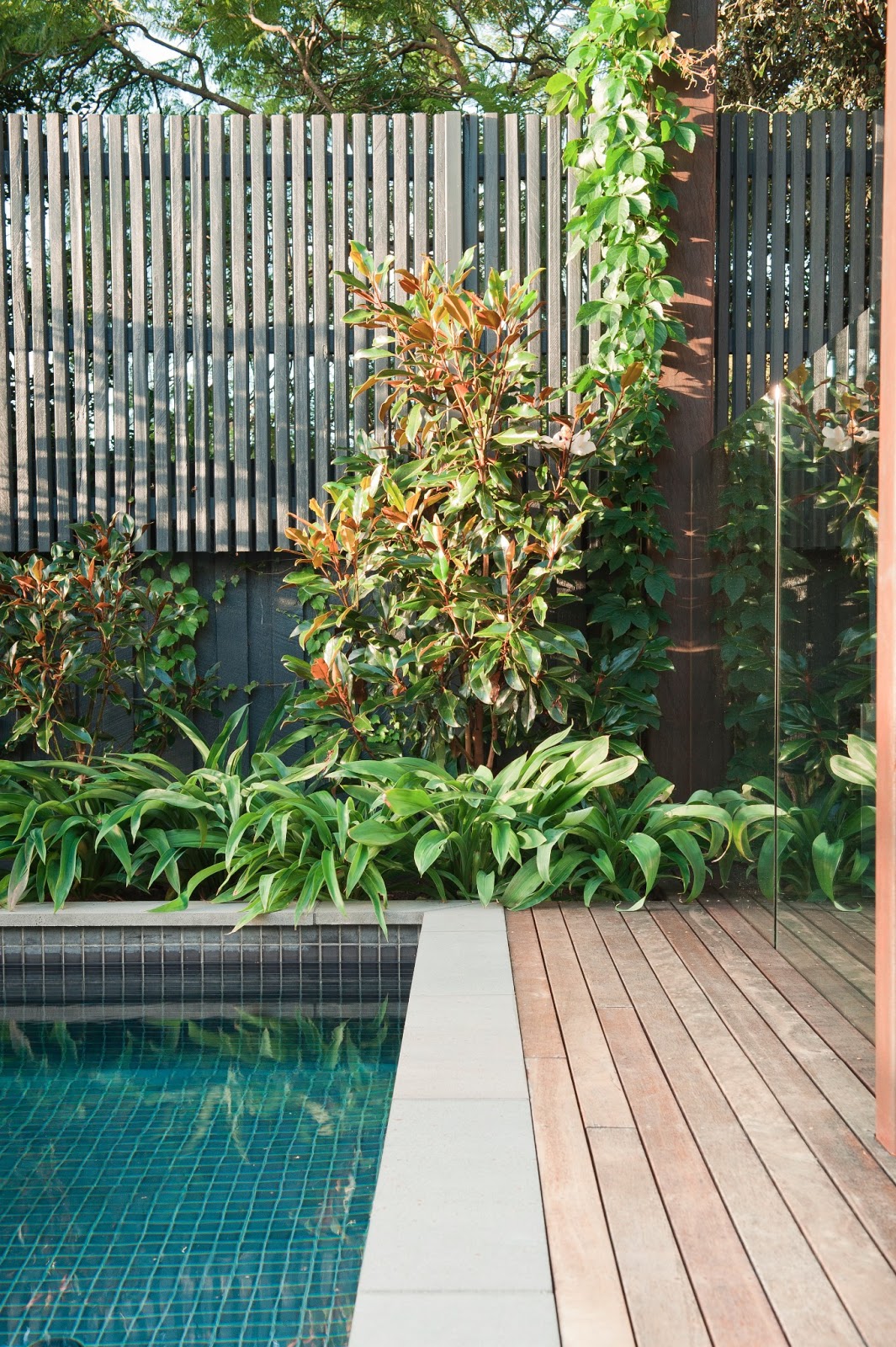 FRAMELESS GLASS POOL FENCING JENNY SMITH GARDENS