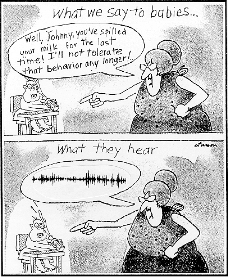 can one learn phonological rules by just listening the phonological rules