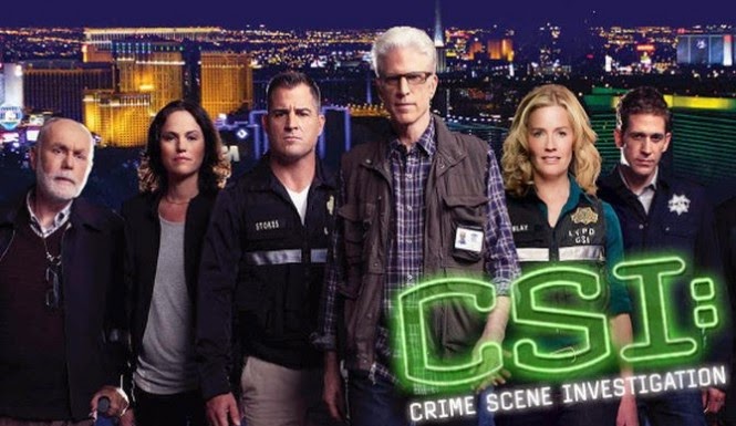 csi pc game director player error csi pc game director player error