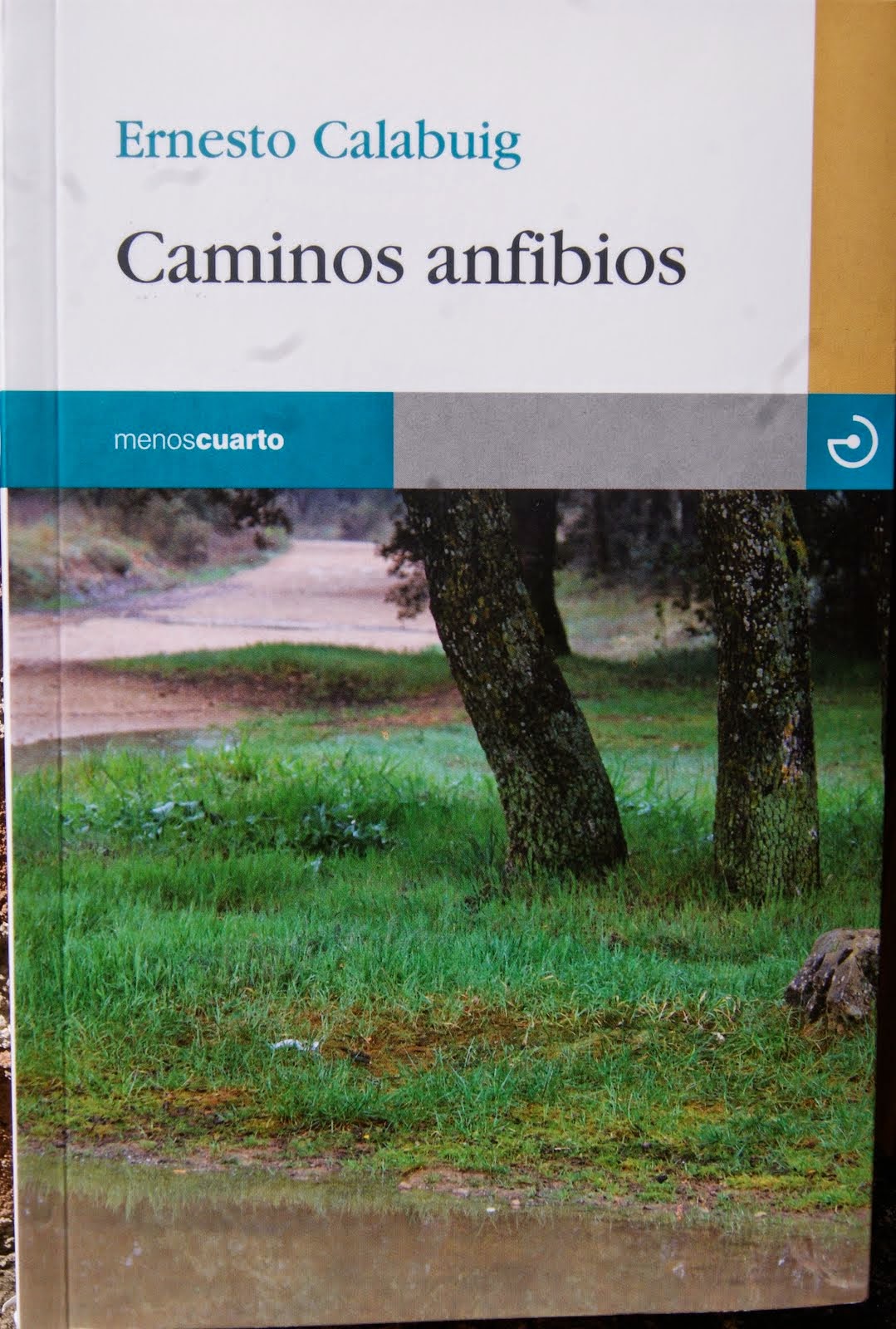 Mi nuevo libro