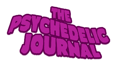 The Psychedelic Journal of Time Travel