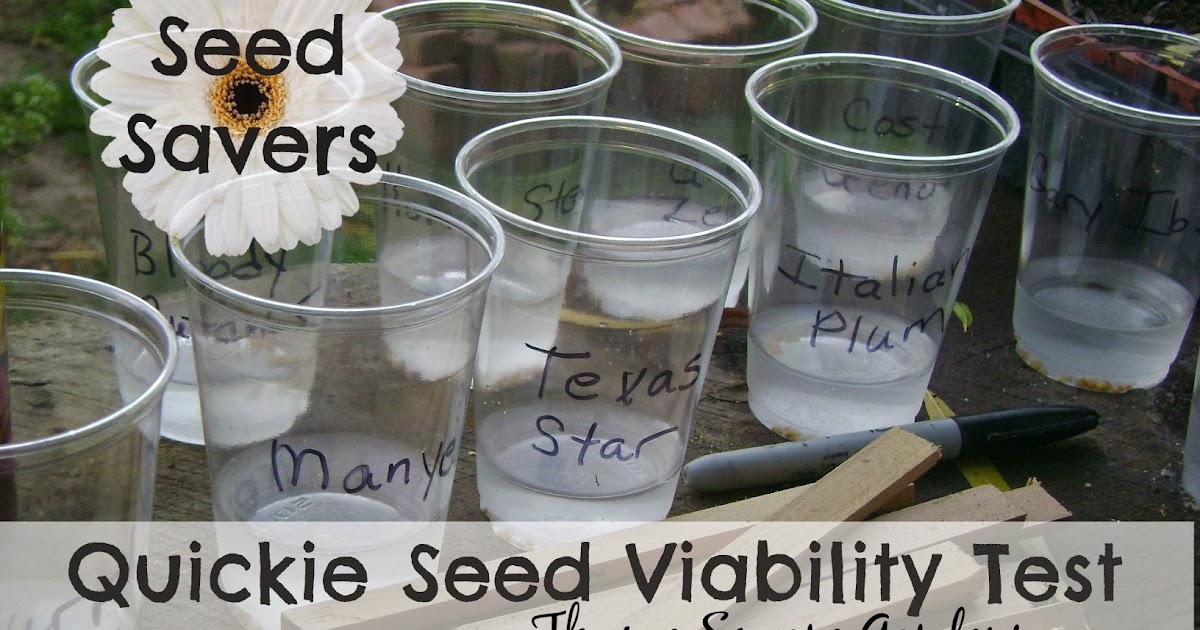 TSG Seed SaversThe Quickie Seed Viability Test