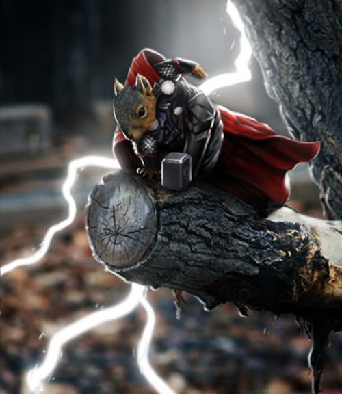 What had happen' was..... Superhero Squirrels [Pics]
