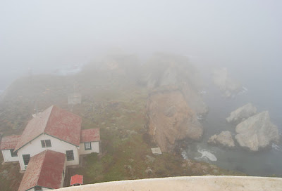 Fog view from Top