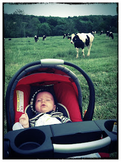 baby in stroller