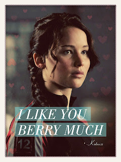 Welcome to District 12: February 2013