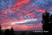 Next, the sunset was stunning! I am participating in Outdoor Wednesday . (sunset )