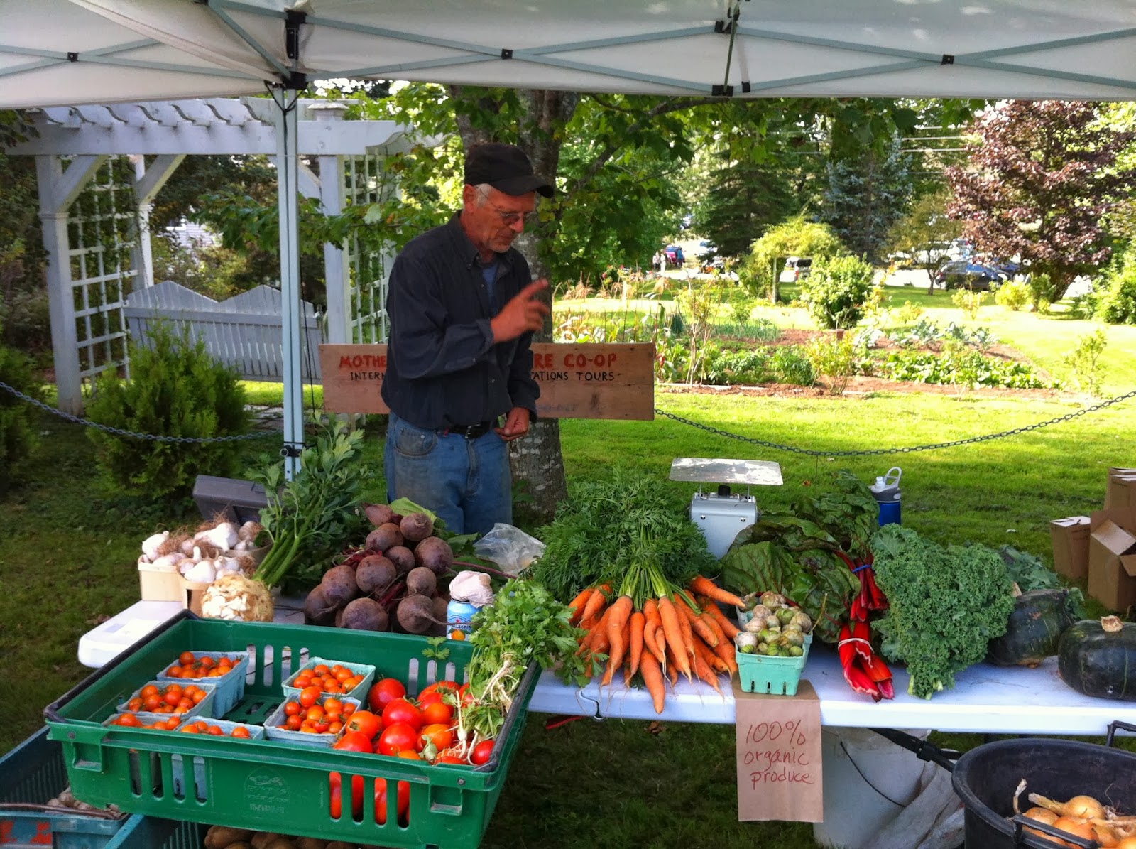Once Upon A Feast Every Kitchen Tells Its Stories Autumn in Nova Scotia