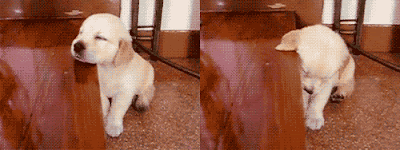 http://4.bp.blogspot.com/--_KdC_UPST4/T-T7o10qrTI/AAAAAAAACJs/JD8Wo-zYjM0/s1600/tumblr_ljm4oo43YE1qiocu2o1_500.gif