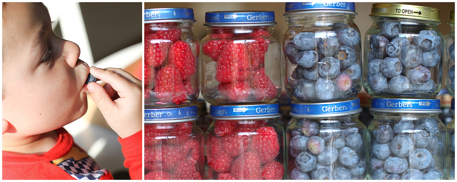 a little jordan family blog Freezing Berries in Baby Food Jars