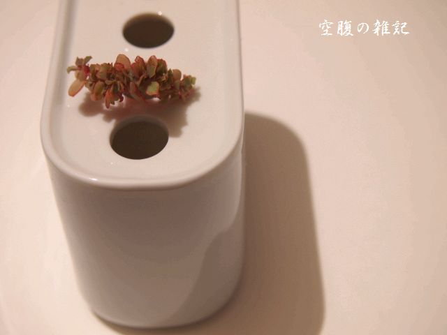 空腹の雑記 多肉植物blog 多肉植物 ケミカルコントロール 綴化実験