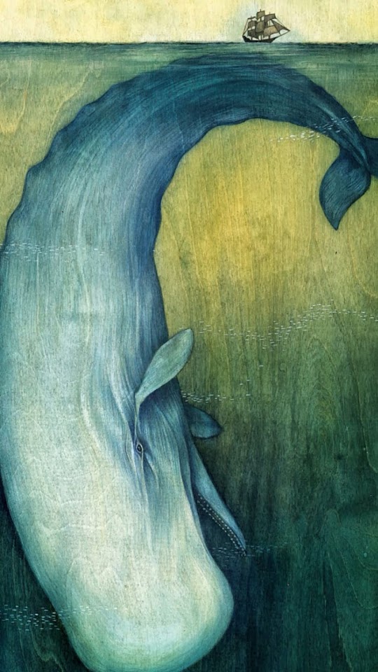   Humpback Whale Illustration   Android Best Wallpaper