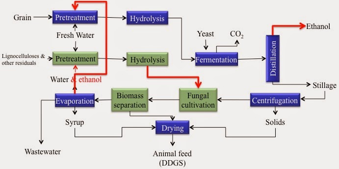 thesis corn ethanol Ii abstract dried distillers grains with solubles (ddgs) are a byproduct of the ethanol industry that may be cheaper than corn and nearly equal to corn in energy content. thesis corn ethanol Ii abstract dried distillers grains with solubles (ddgs) are a byproduct of the ethanol industry that may be cheaper than corn and nearly equal to corn in energy content.