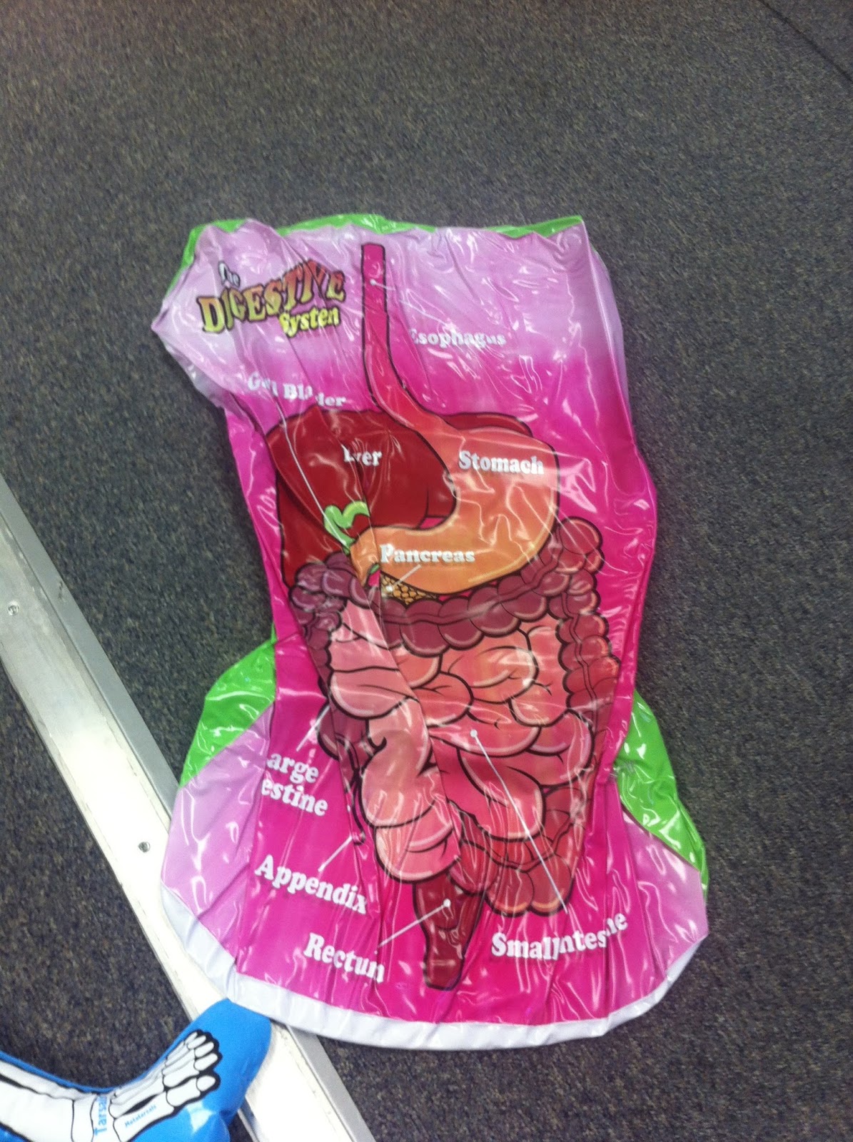 Digestive system trading cards