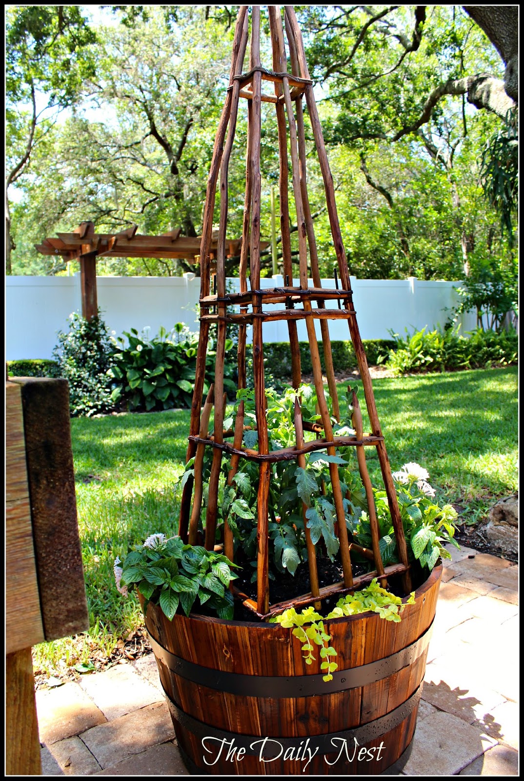 To A Whiskey Barrel Planting Party!