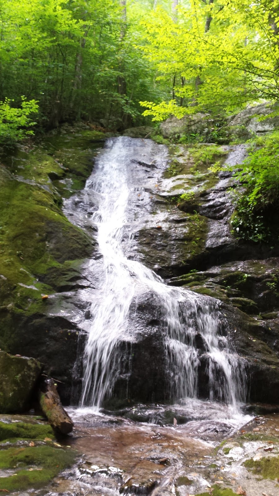 Visions of Virginia Crabtree Falls