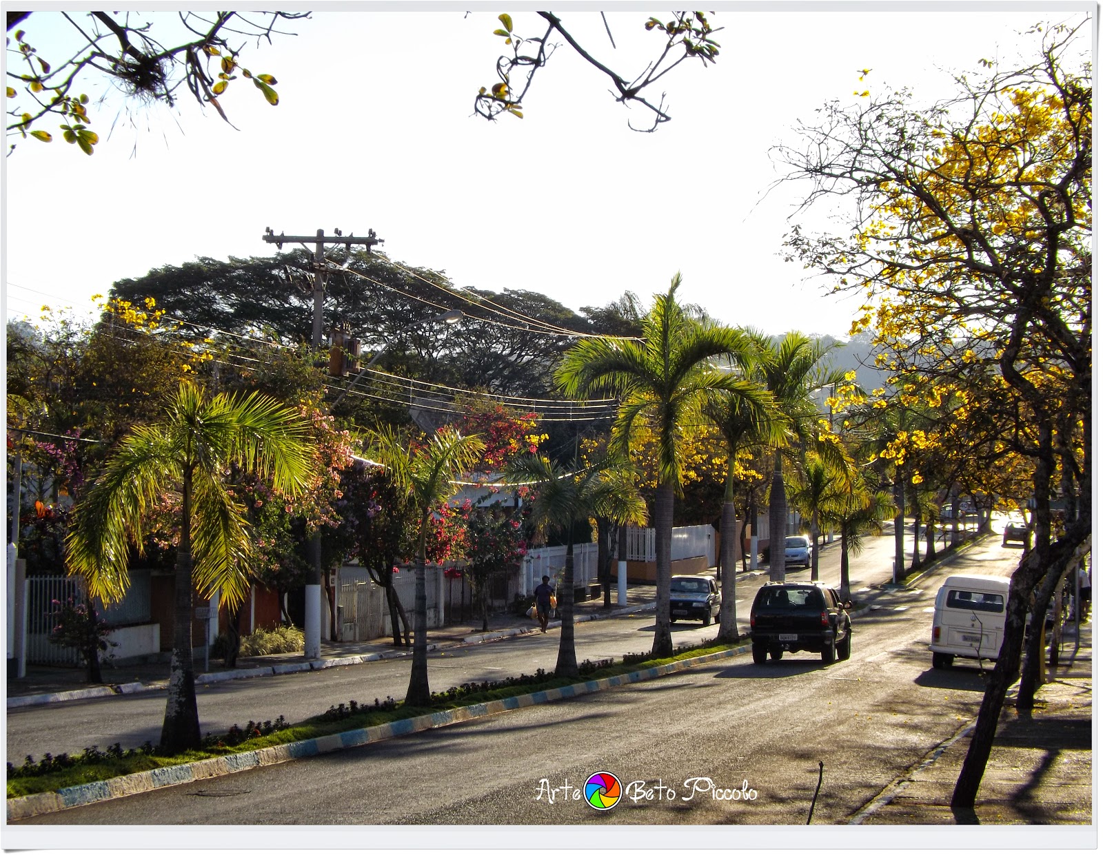 Beto Piccolo Cena da Cidade Avenida Primavera!