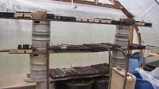 spring creek farm pioneer tn wwoof usa hoophouse seedlings winter