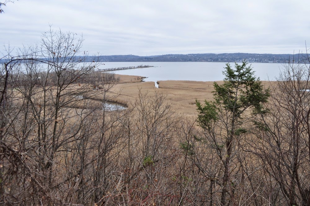 Harriman Hiker Harriman State Park and Beyond Tallman Mountain State Park