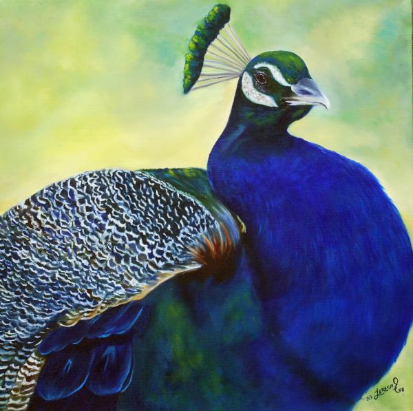 peacock.jpg