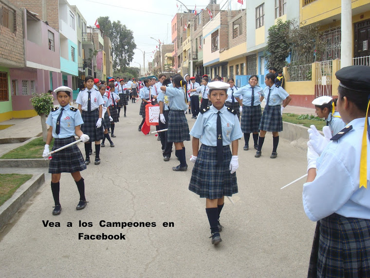 Desfile Escolar del 27 07 11