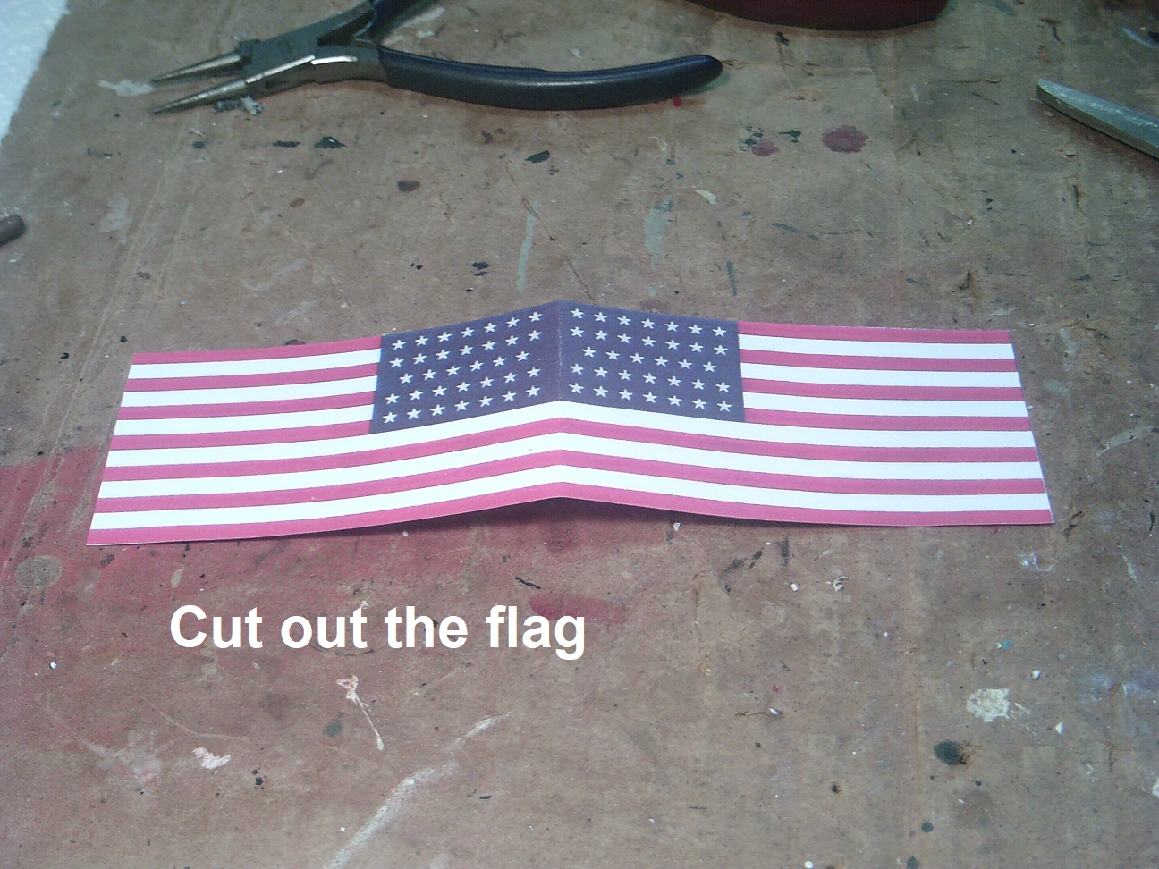 The Flag ~