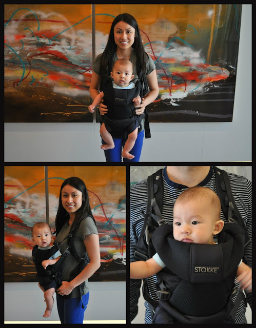 stokke mycarrier mesh