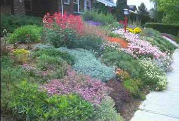 xeriscaping adventure in utah