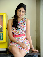 Manisha Yadav Photos at Preminchali Success meet-cover-photo