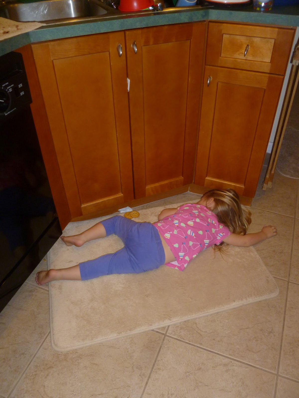 ASLEEP ON THE KITCHEN FLOOR WORDLESS WEDNESDAY W/ LINKY Mama to 6