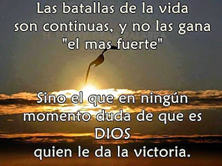 Proverbios / Frases Proverbios / Frases