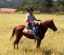 Horse riding trail program