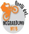 MEGATEAM