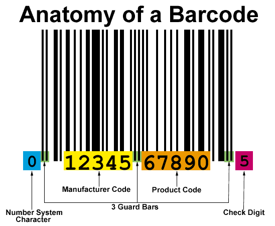 How are bar codes read?