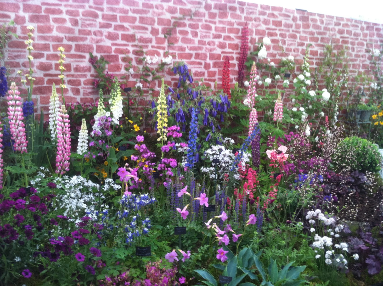 My Irish Adventure Dublin Bloom Festival