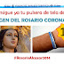 LA PULSERA COFRADE DE LA VIRGEN DEL ROSARIO CORONADA