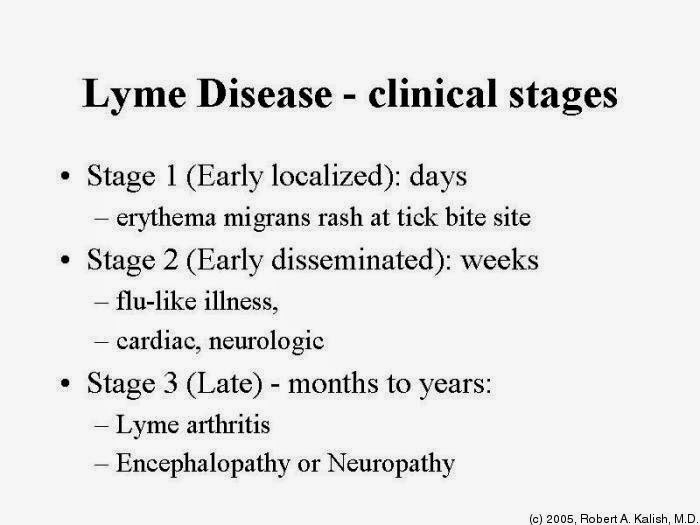 Lyme Disease Contagious Health and Disease