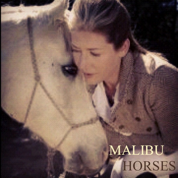 MALIBU HORSES, INC.