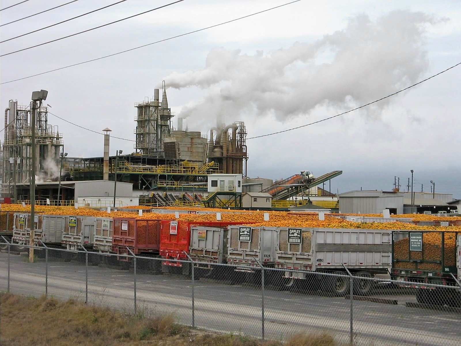 Online Journal of Adventures January 2012