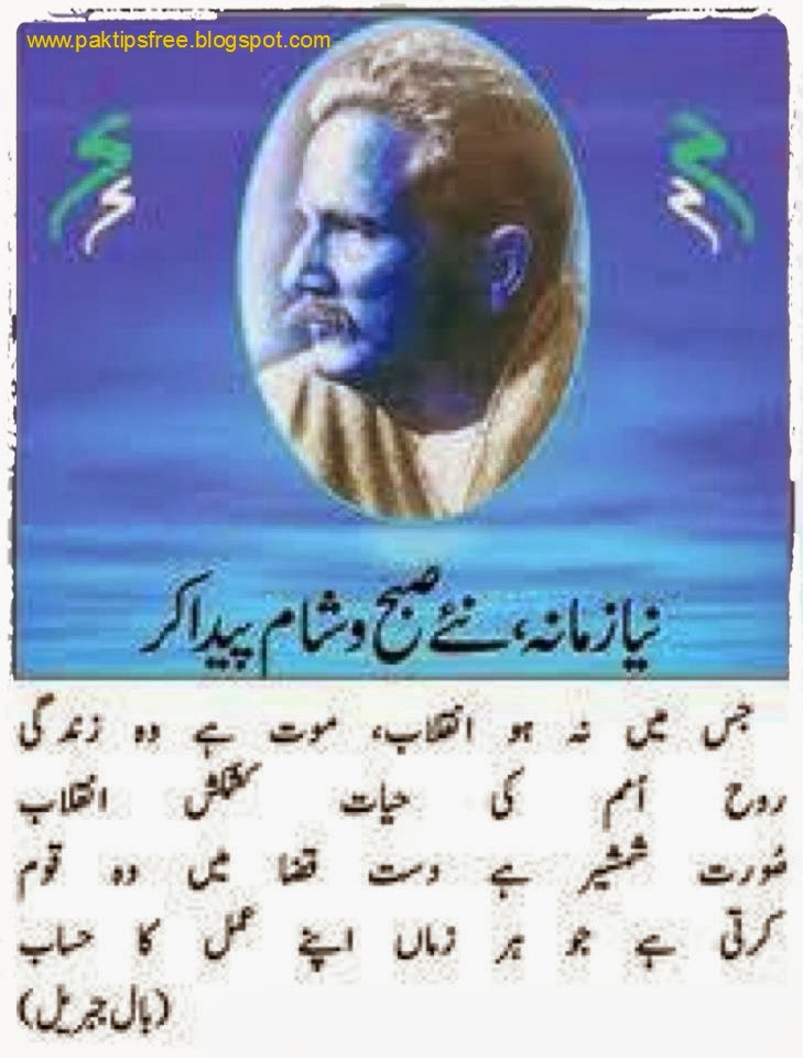essay on poetry of iqbal essay on poetry of iqbal