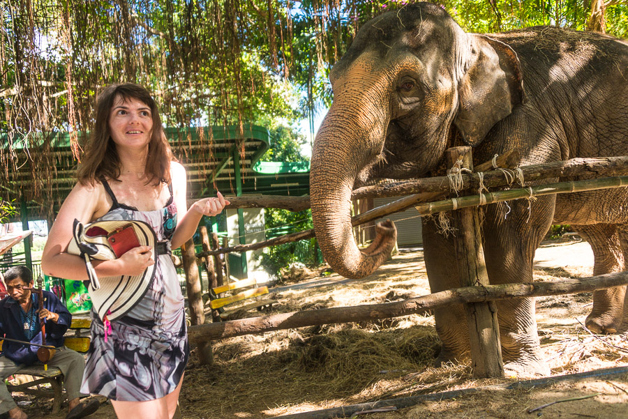 Chiang Mai Zoo. Part Two