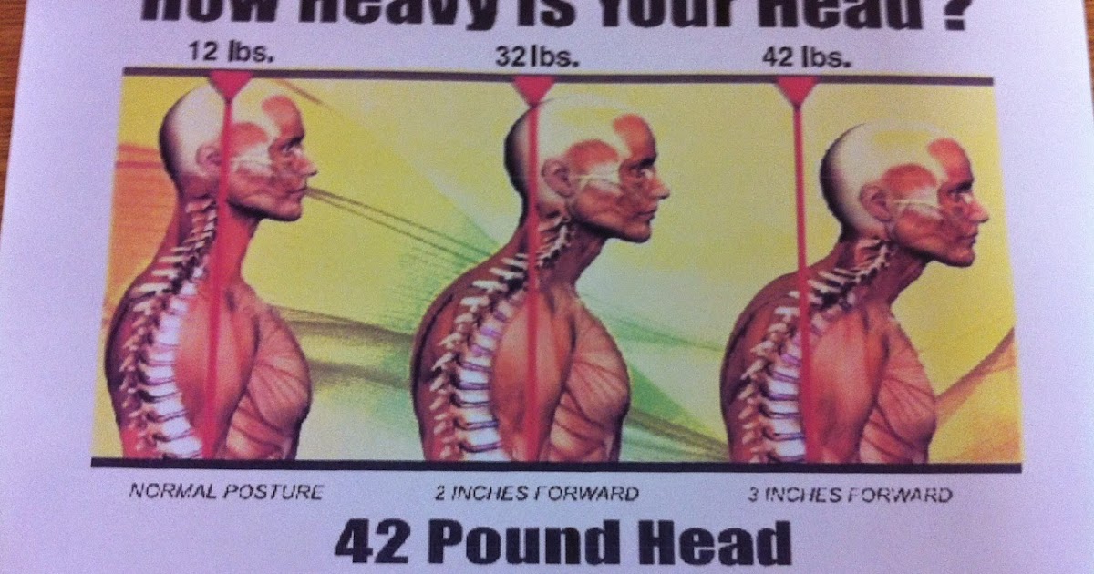 Yoga Mama How heavy is your head?