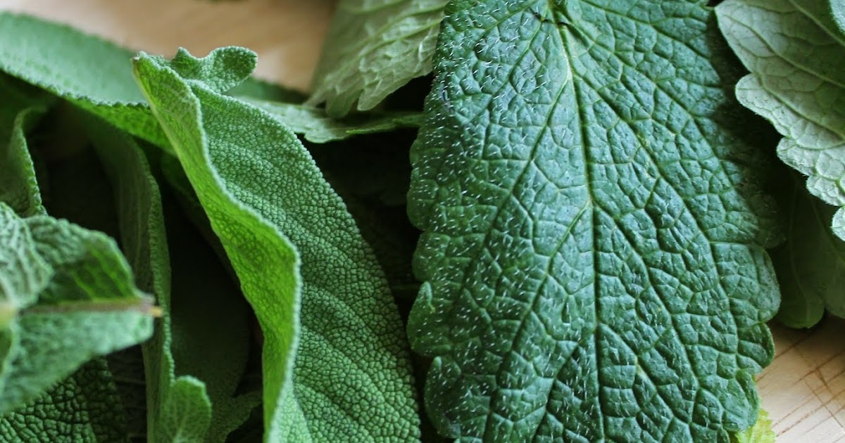 Home by 28 Cooks Lemon Balm & Sage jelly