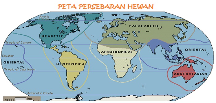 Persebaran Fauna Di Dunia ~ Pelajaranmu Hari Ini
