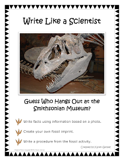 Types of fossils image