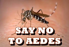 SAY NO TO AEDES