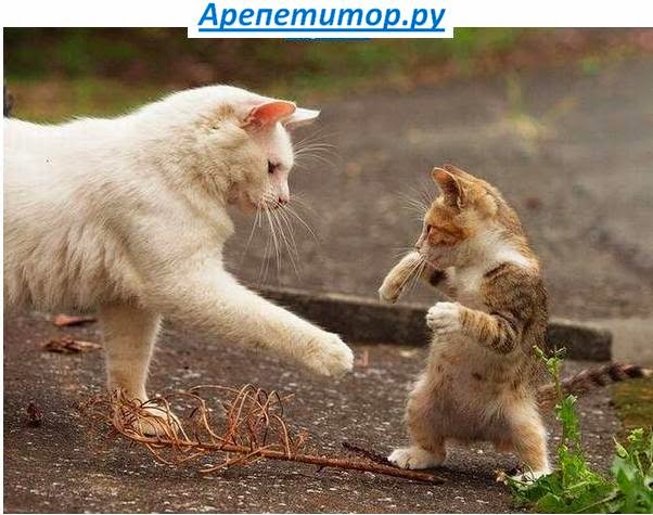 стоимость репетитора по английскому языку в москве стоимость репетитора по английскому языку в москве